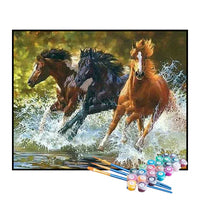 Paint by Numbers Kit – Horses
