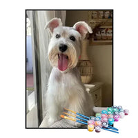 Paint by Numbers Kit – Happy Schnauzer