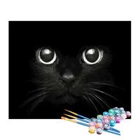 Paint by Numbers Kit – Mystic Black Cat