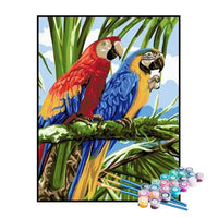 Paint by Numbers Kit – Macaws