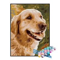 Paint by Numbers Kit – Golden Retriever