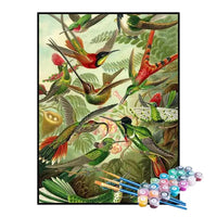 Paint by Numbers Kit – Trochilidae (Hummingbirds), Ernst Haeckel