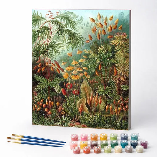 Mosses, Ernst Haeckel - Paint by Numbers Kit