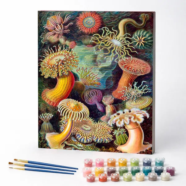 Sea Anemones, Ernst Haeckel - Paint by Numbers Kit