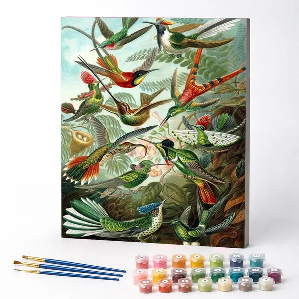 Paint by Numbers Kit – Trochilidae (Hummingbirds), Ernst Haeckel