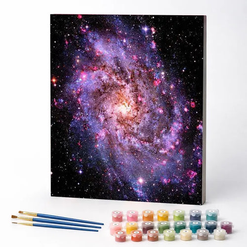 Spiral Galaxy - Paint by Numbers Kit