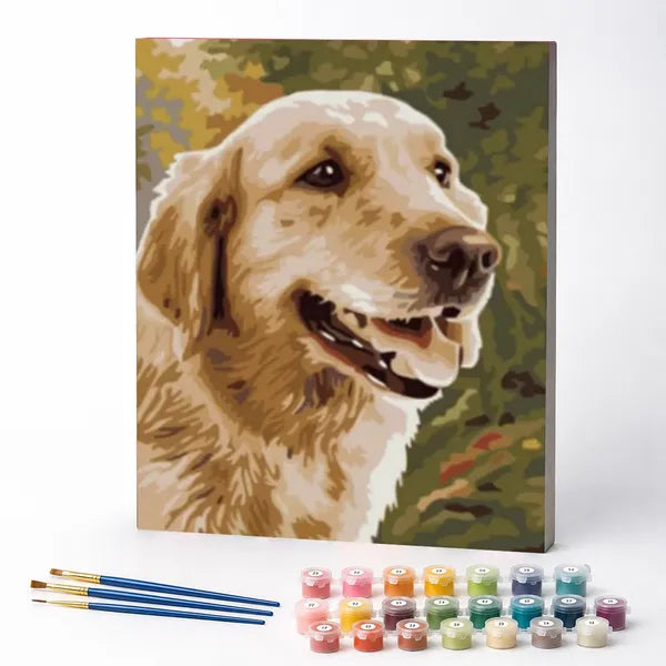 Paint by Numbers Kit – Golden Retriever